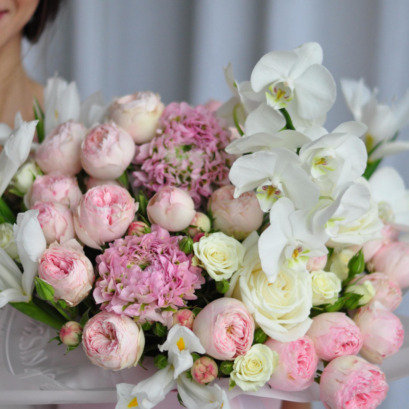 dsc_9358-0x800