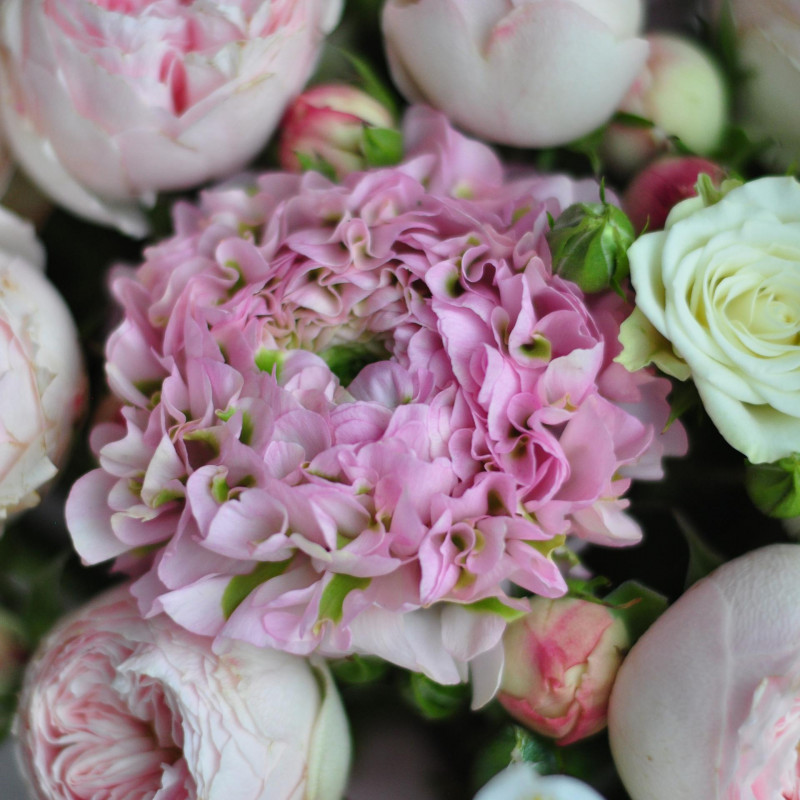 dsc_9365-0x800