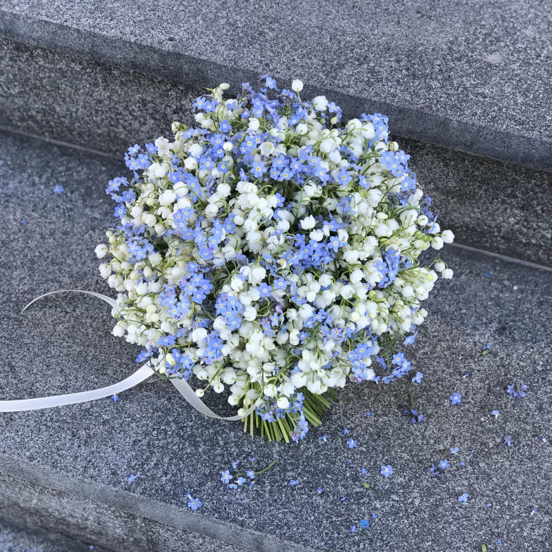 kvadrat_img_8577-0x800