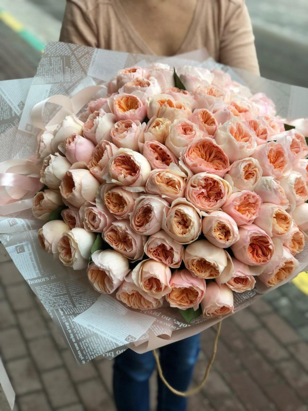 whatsappimage2019-03-31at01.56.222-0x800