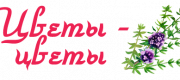 20220211_071117_0004